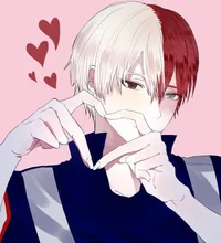 Shoto Todoroki