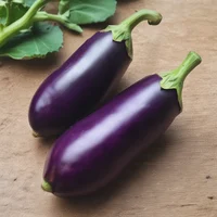 egg plant