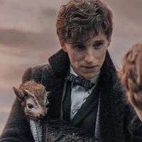 Newt Scamander 