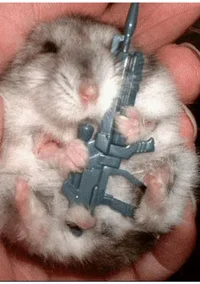 Hamster with gun