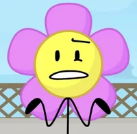 Flower BFB