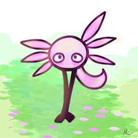 KinitoPET