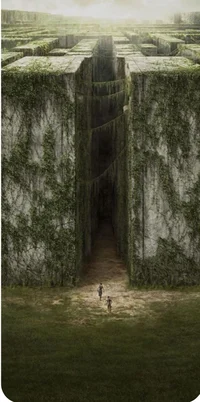 The maze runner 