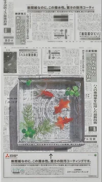Japon