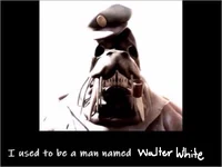 Walter Walrus