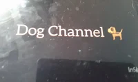 Dog Channel