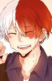 Shoto todoroki  
