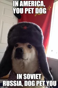 Communist Doge