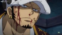 Law