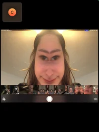 Carlie the horse 