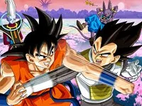 gokubeeruswhisvegeta