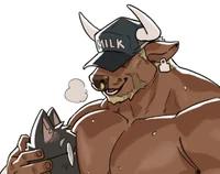 Milk bull