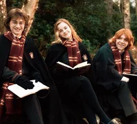 Goldentrio and Draco