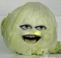 Lettuce