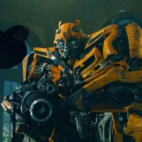 bumblebee - bv