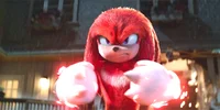 Fluffy Knuckles 