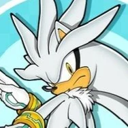 Silver The Hedgehog 