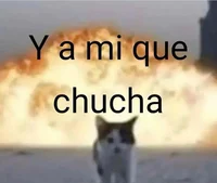 _Alex_