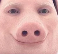 John pork