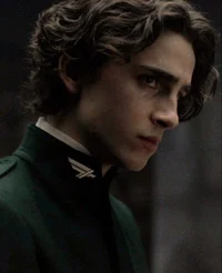 Regulus black
