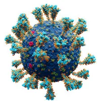 Reverse virus