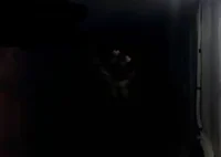 Liminal creature