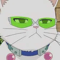 Saiki cat form