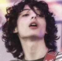 Финн вылхворд 