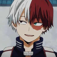 Shoto Todoroki