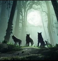 Werewolf clan RPG