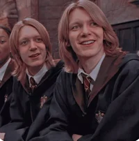 Weasley twins