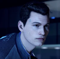 Conner - DBH