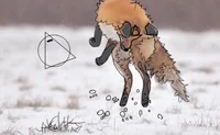Fox Therian