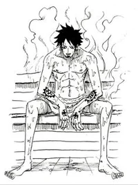 Law