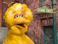 Big Bird 23