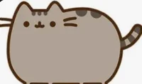 pusheen