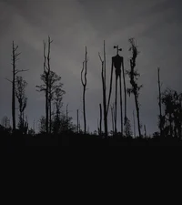 Сереноголовый 