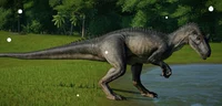 Allosaurus