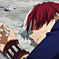 Shoto Todoroki