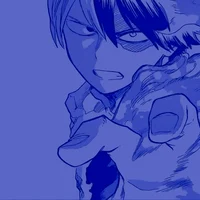 Shoto Todoroki 