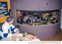 Nostalgic Aquarium