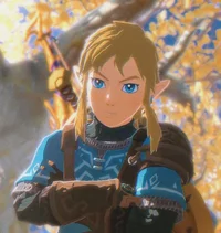 Link