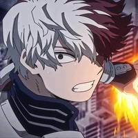 Shoto Todoroki