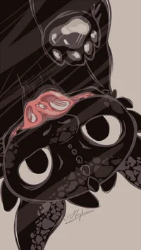 Hiccup and Toothless