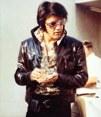 Spy Elvis