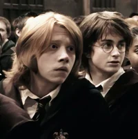Harry and Ron 