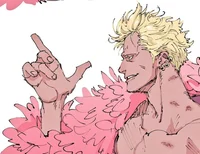 Doflamingo donquixot