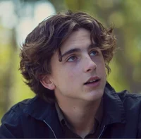 Timothée chalamet 