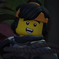 NINJAGO - Cole
