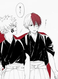 Bakugo and Shoto